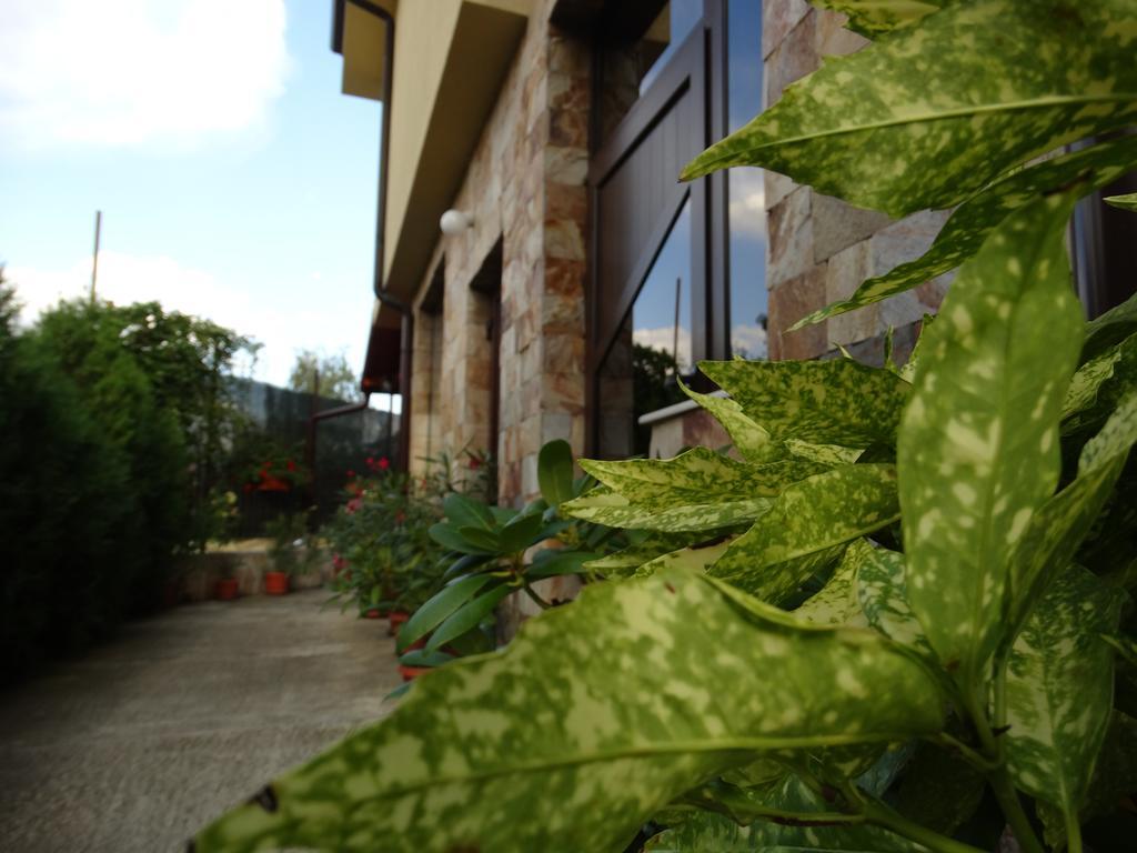 Guest House Ivel Sapareva Banya Exterior photo