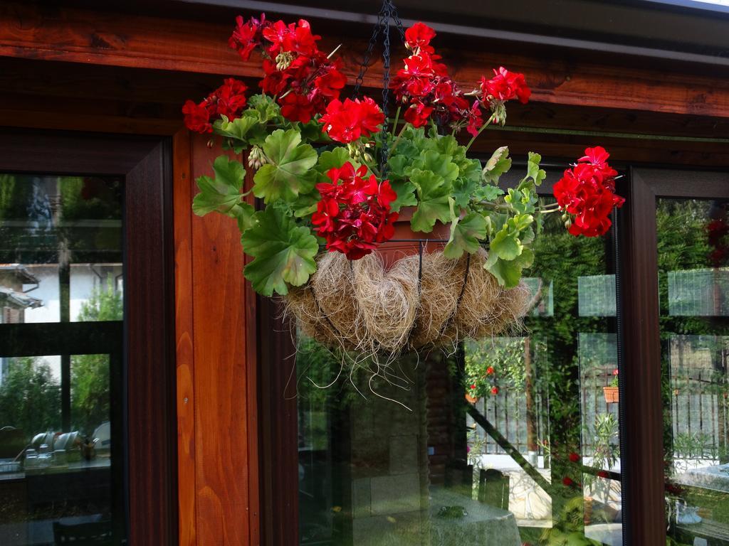 Guest House Ivel Sapareva Banya Exterior photo