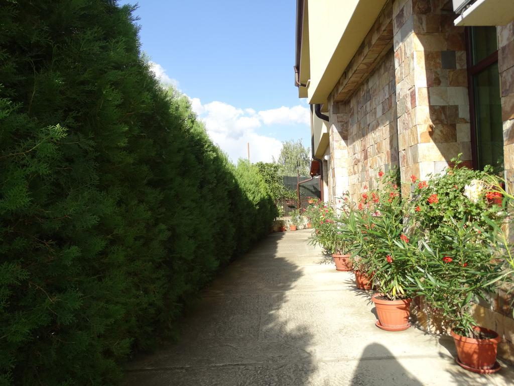 Guest House Ivel Sapareva Banya Exterior photo
